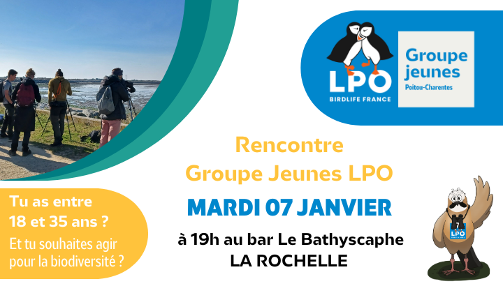 Rencontre Groupe Jeunes LPO en Charente-Maritime